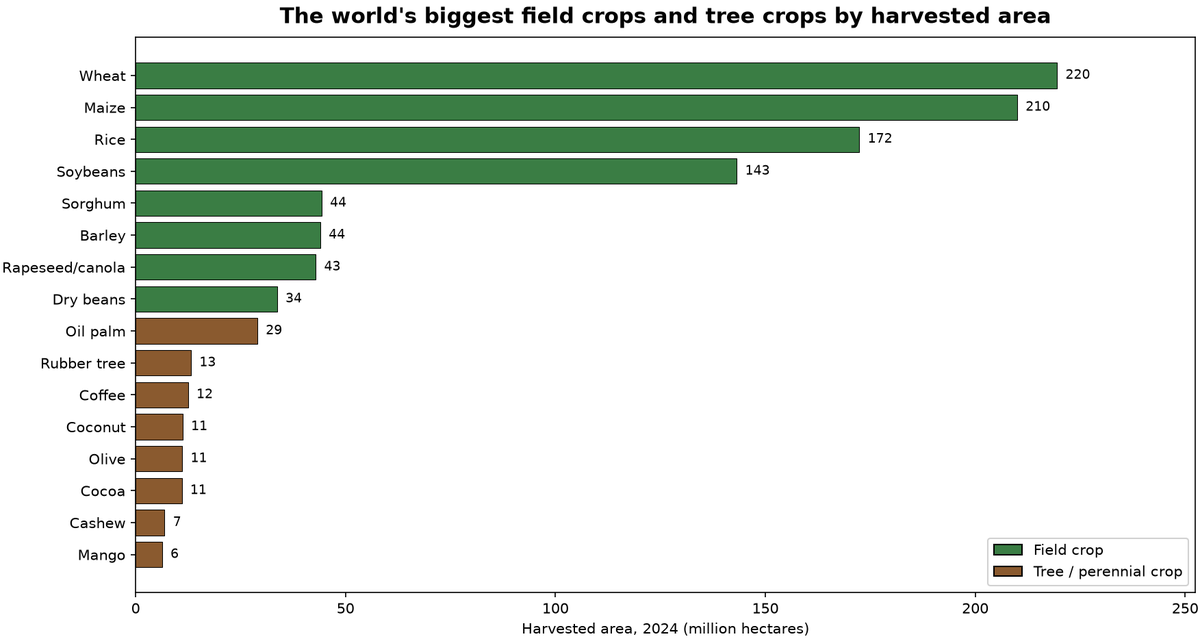 The world’s biggest field crops and tree crops by harvested area