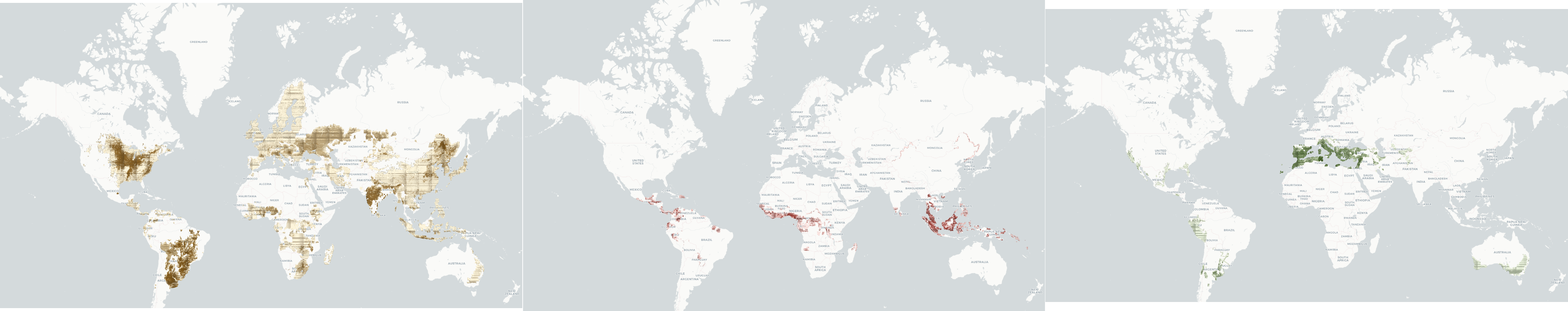From Global Crop Grids to Actionable Insight: Soybean, Oil Palm and Olive