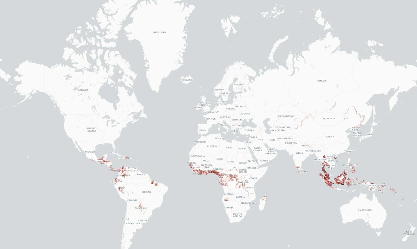 Global oil-palm harvested-area grid