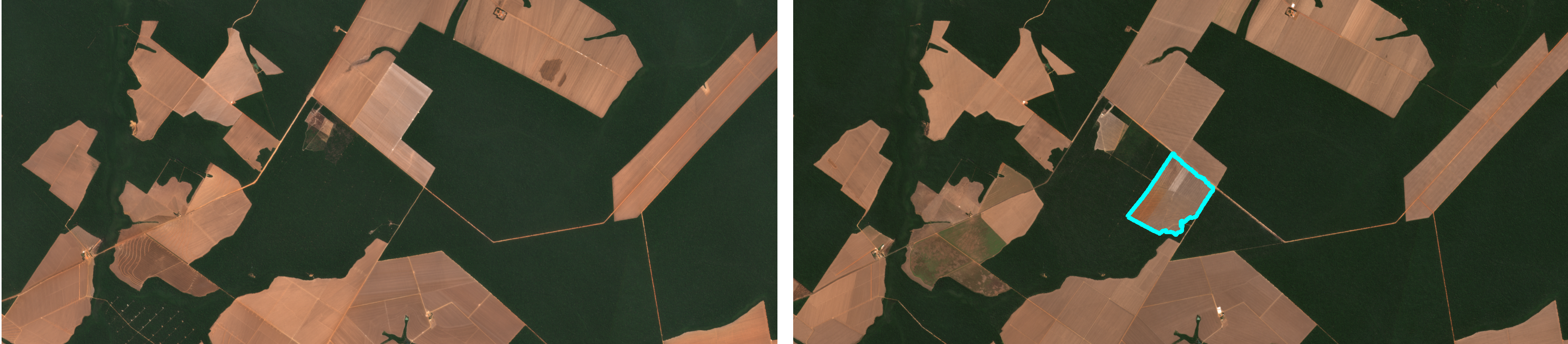 Connecting Forest Change with Soybean Production Potential