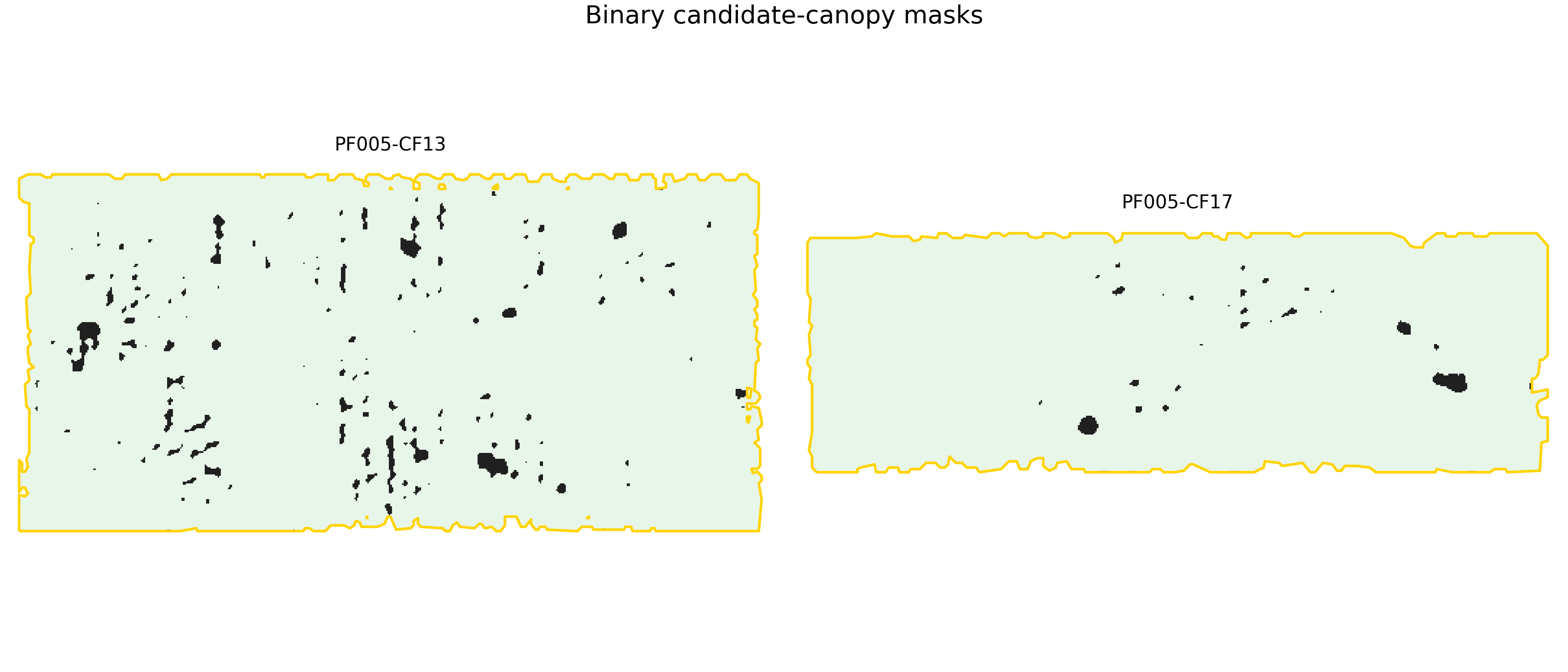 Canopy masks for the selected oil-palm fields