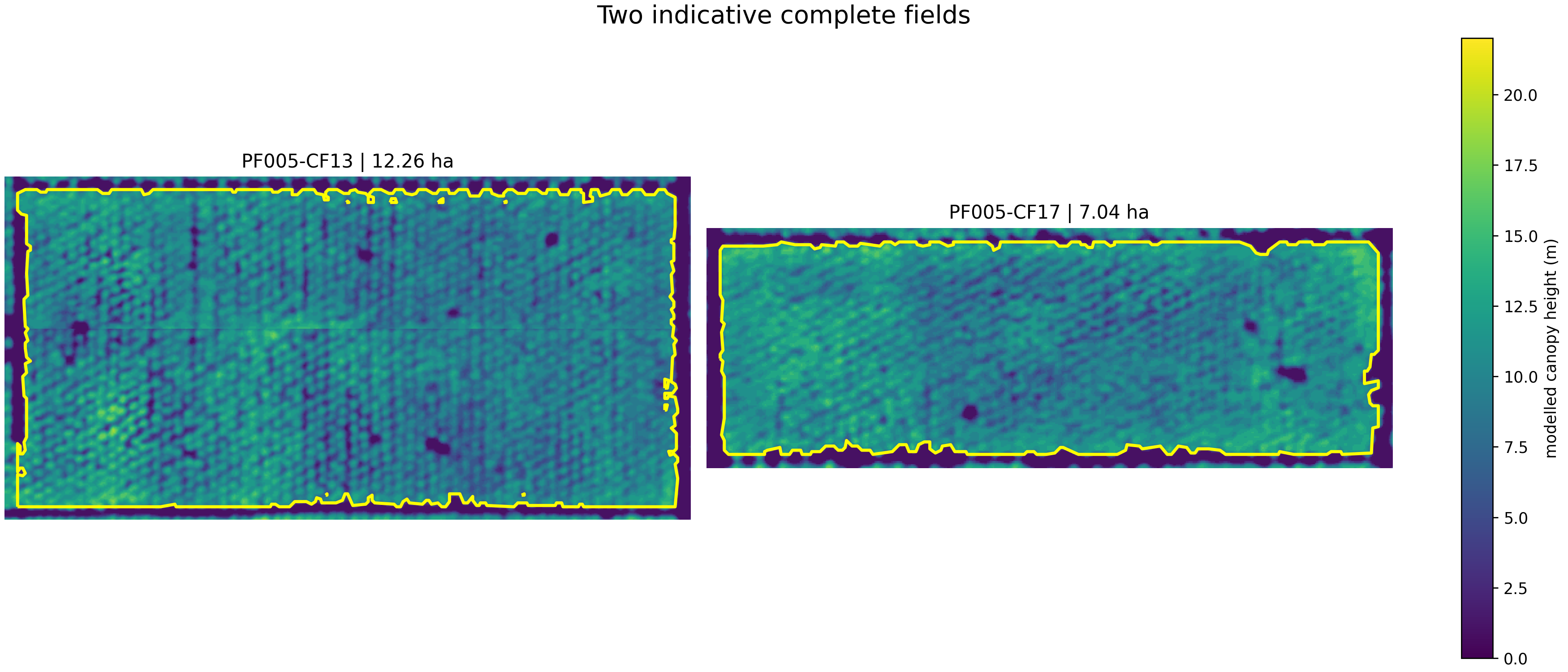 Selected large and small oil-palm fields on the canopy-height surface