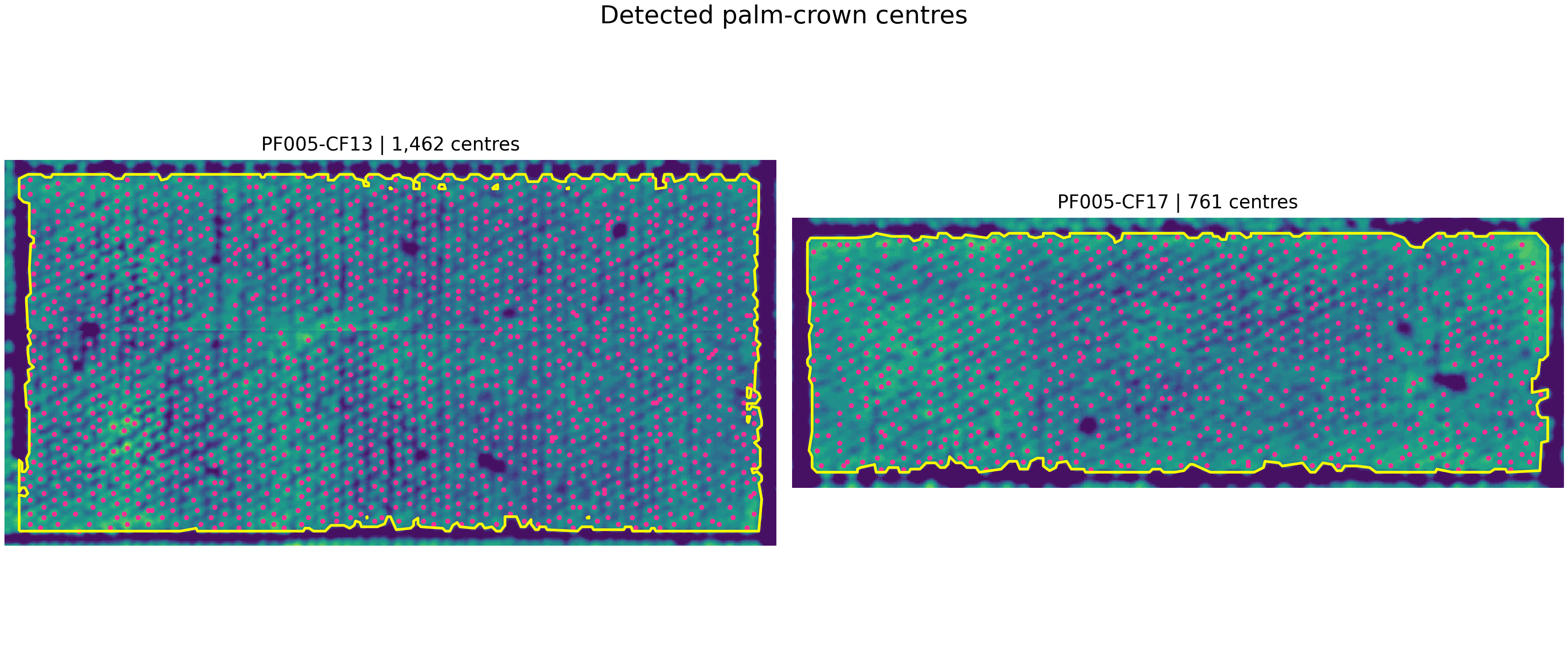 Detected palm-crown centres in CF13 and CF17