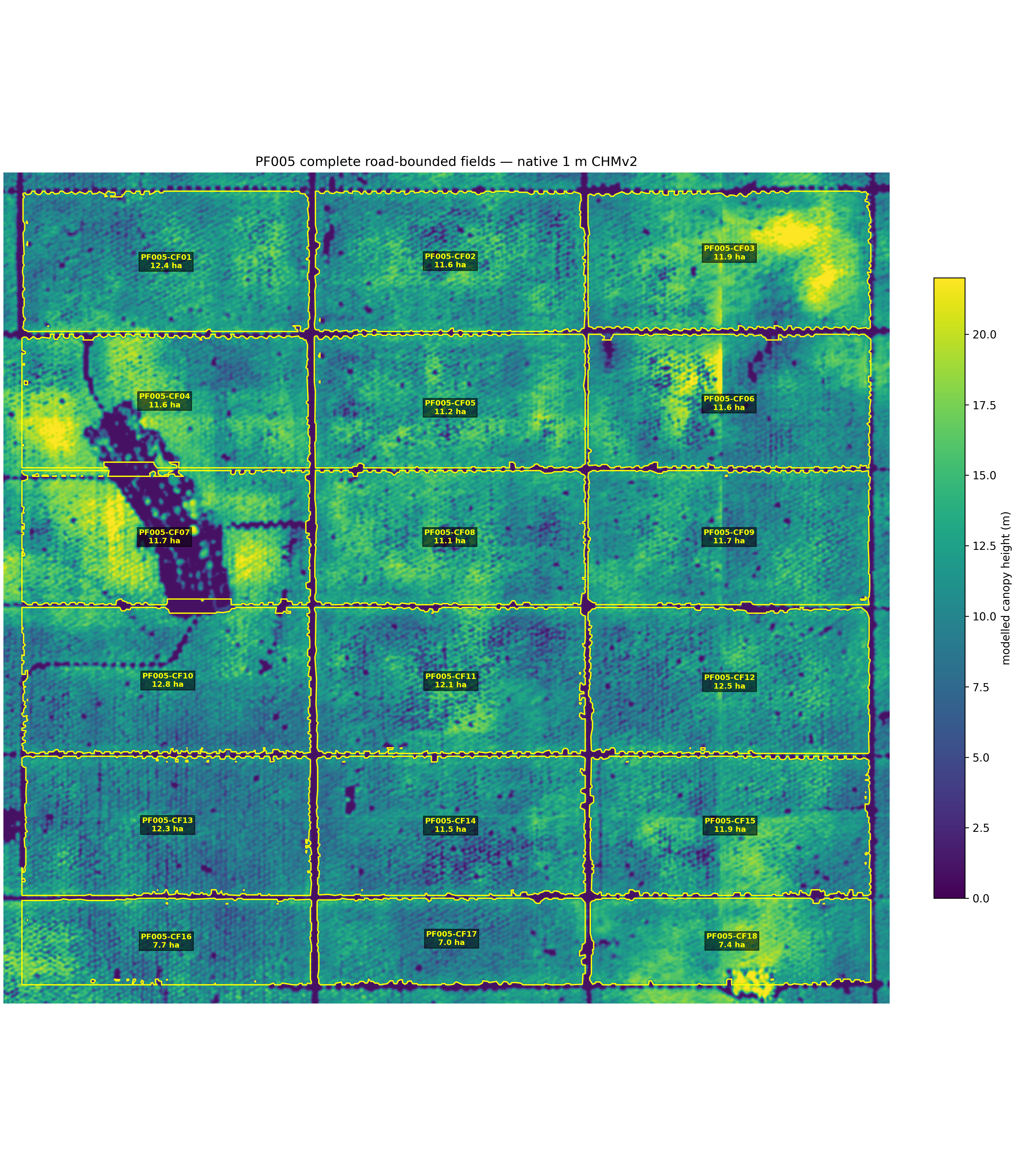 Eighteen complete oil-palm field candidates delineated from the canopy-height surface