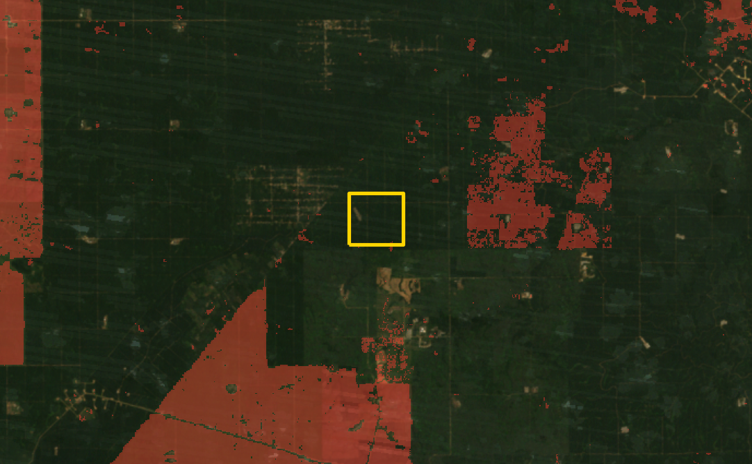 Tracking Palm-Oil Development: Land Change, Palm Counts and Yield