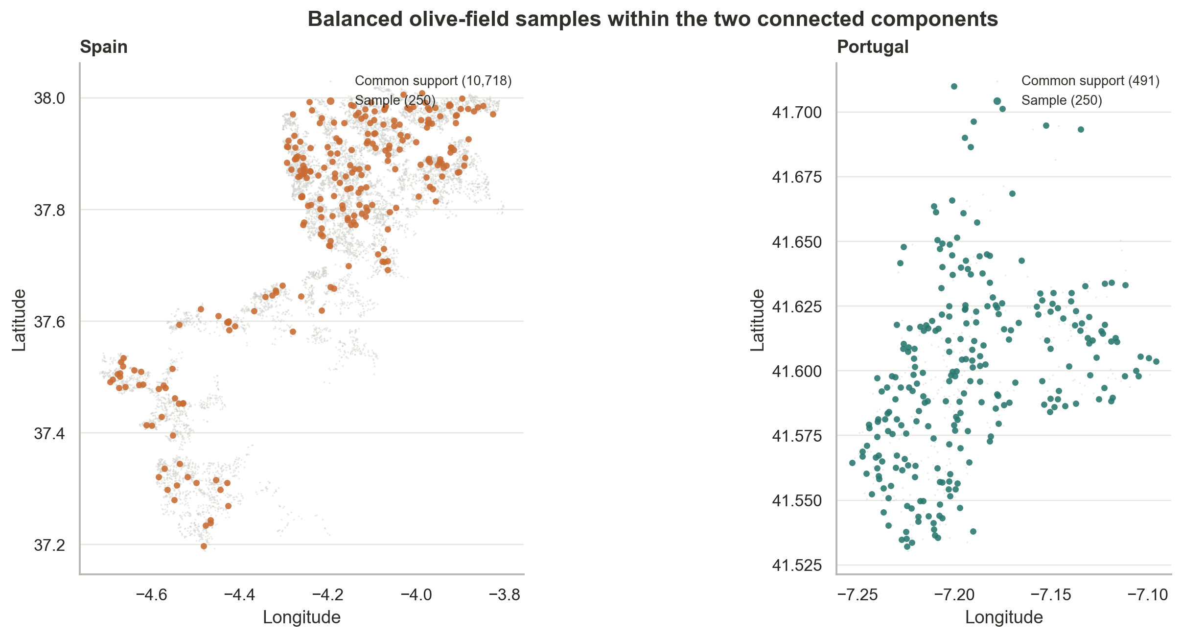 Balanced samples of exact EuroCrops olive polygons inside the selected Spanish and Portuguese connected components